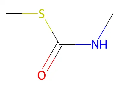 Carbamothioic acid, methyl-, S-methyl ester structure