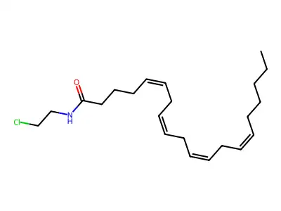 N-(2-氯乙基)二十碳-5,8,11,14-四烯酰胺 structure