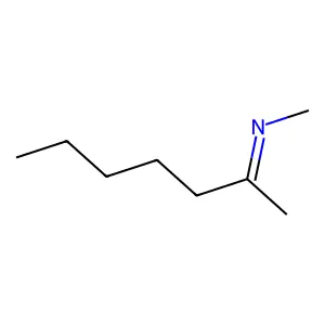N-methylheptan-2-imine structure