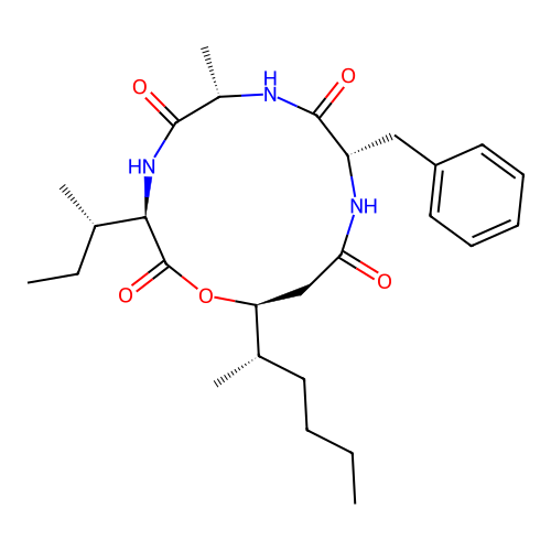 Beauveriolide III structure
