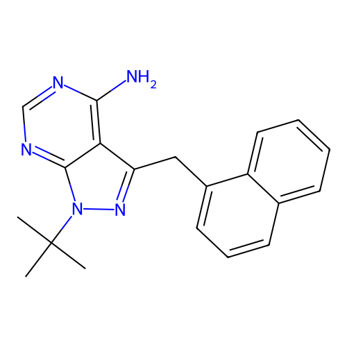 1-NM-PP1 structure