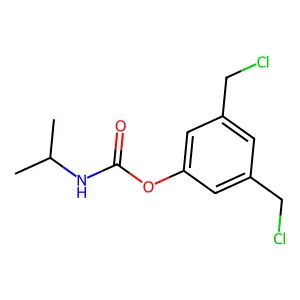 C8E5 structure