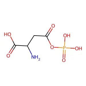 beta-Aspartyl phosphate structure