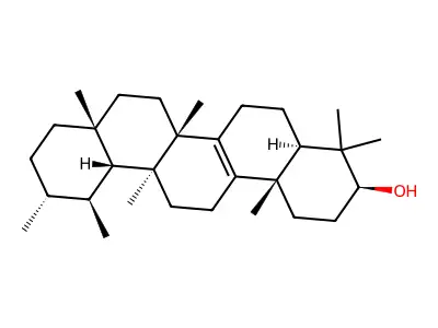 Isobauerenol structure