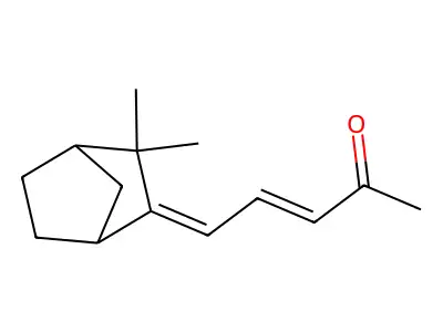 3-Penten-2-one, 5-(3,3-dimethylbicyclo(2.2.1)hept-2-ylidene)- structure