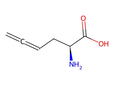 2-Amino-4,5-hexadienoic acid structure
