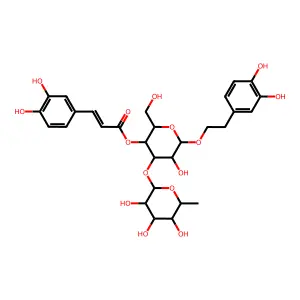 Acteoside;Kusaginin;TJC160 structure