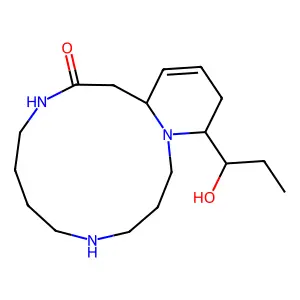 Palustrine structure