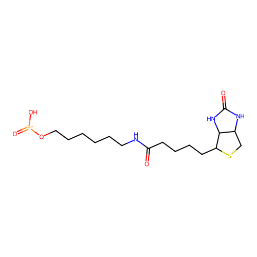 6-N-Biotinylaminohexyl Hydrogenphosphonate structure