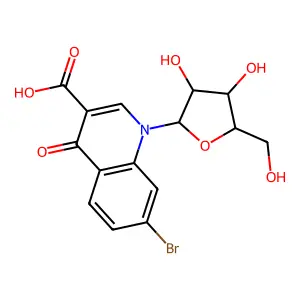 Neq135 structure