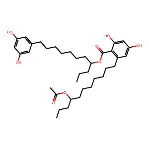 Integracin A structure