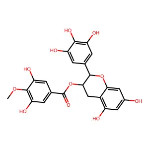 Epigallocatechin-3-O-(4-O-methyl)gallate structure