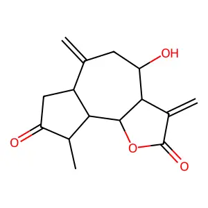 Grosheimin structure