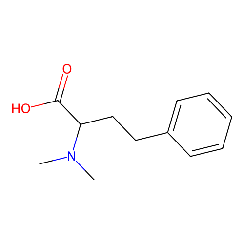 2-(Dimethylamino)-4-phenylbutanoic acid structure