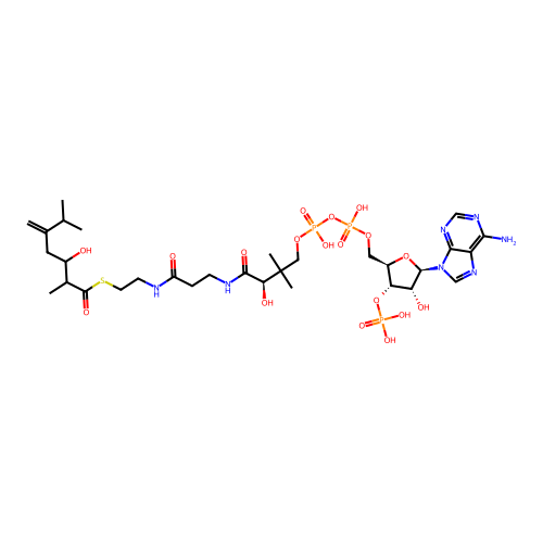 3-Hydroxy-2,6-dimethyl-5-methylene-heptanoyl-CoA structure