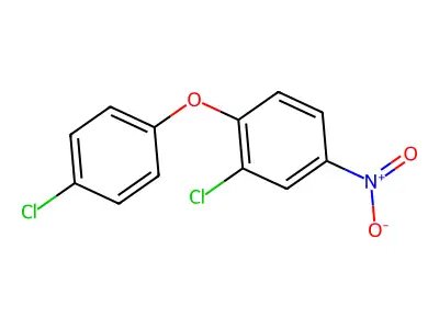2,4'-二氯-4-硝基二苯醚 structure