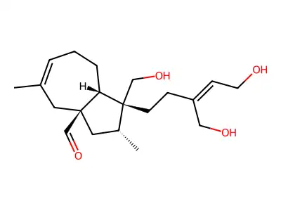 Portulal structure