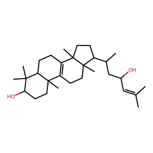 7H-Dibenzo(c,h)xanthene structure