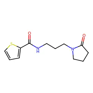 N-[3-(2-oxopyrrolidin-1-yl)propyl]thiophene-2-carboxamide structure