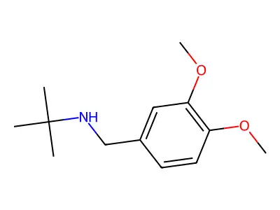 Tert-butyl[(3,4-dimethoxyphenyl)methyl]amine structure