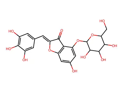 Bractein structure