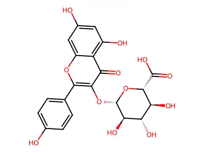 Kaempferol 3-O-glucuronide structure