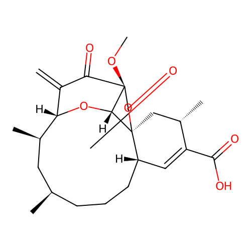Chrolactomycin structure