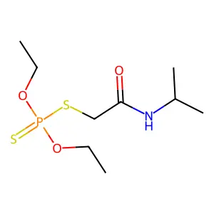 发果 structure