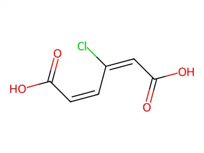3-Chloro-cis,cis-muconic acid structure