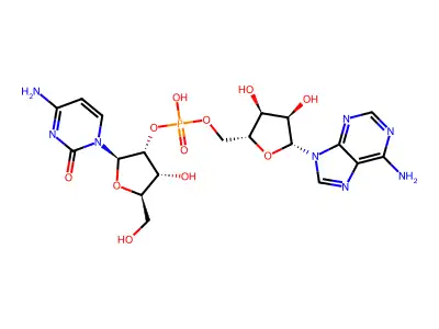 Cytidylyl-(2'->5')-adenosine structure