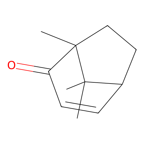 1,8,8-Trimethylbicyclo[3.2.1]oct-3-en-2-one structure