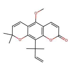 Dentatin structure