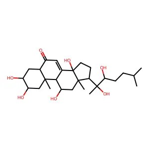 筋骨草甾酮C structure