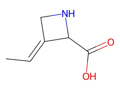 (3E)-3-ethylideneazetidine-2-carboxylic acid structure