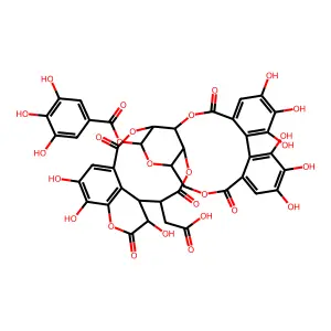 诃子次酸 structure