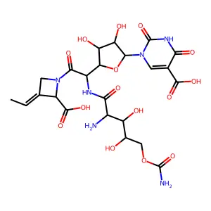 Polyoxin F structure