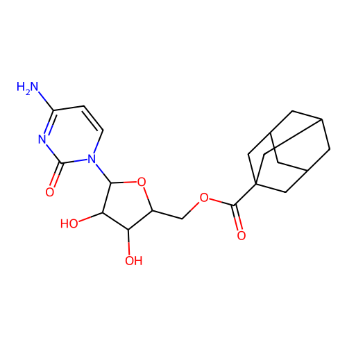 Adam CA structure