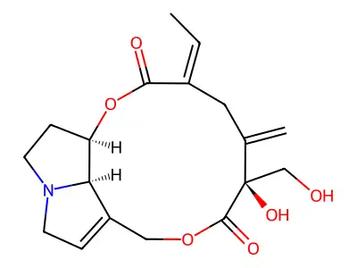 瑞德靈 structure
