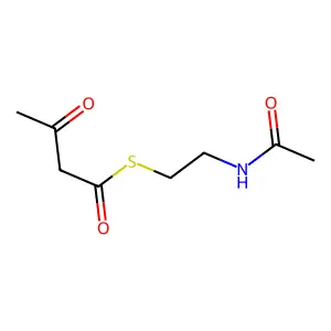 S-[2-(acetylamino)ethyl] 3-oxobutanethioate structure