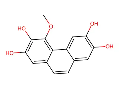 4-Methoxyphenanthrene-2,3,6,7-tetrol structure