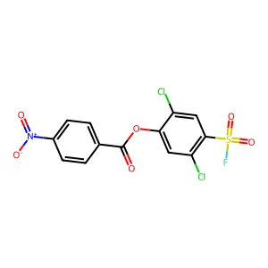 2,5-Dichloro-4-(fluorosulfonyl)phenyl 4-nitrobenzoate structure