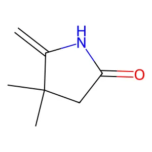4,4-Dimethyl-5-methylidenepyrrolidin-2-one structure
