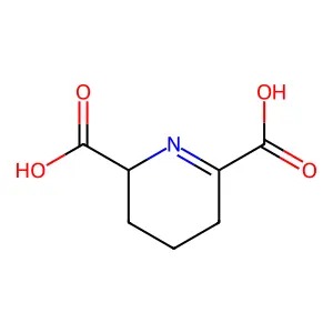 2,3,4,5-四氢-2,6-吡啶二甲酸 structure