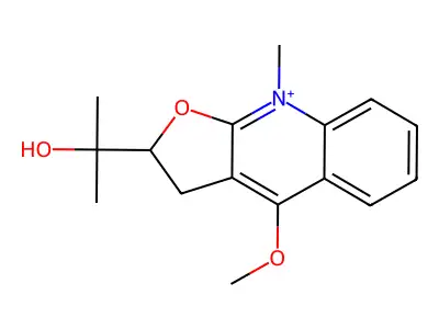 Platydesminium structure