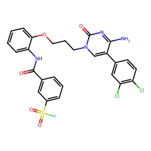 3-[[2-[3-[4-amino-5-(3,4-dichlorophenyl)-2-oxopyrimidin-1-yl]propoxy]phenyl]carbamoyl]benzenesulfonyl fluoride structure
