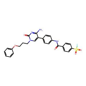 4-[[4-[4-amino-2-oxo-1-(3-phenoxypropyl)pyrimidin-5-yl]phenyl]carbamoyl]benzenesulfonyl fluoride structure