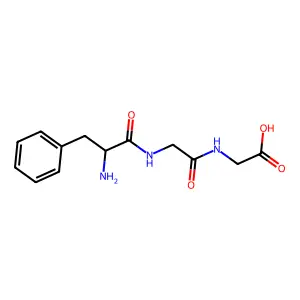 Phe-Gly-Gly structure
