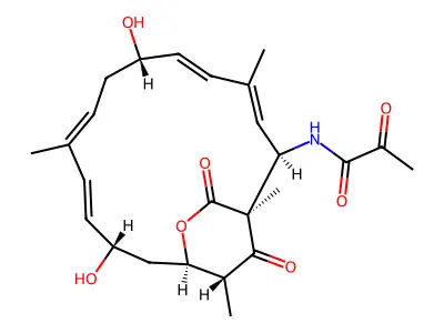 Lankacidins structure