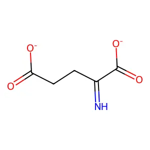 Iminoglutarate structure