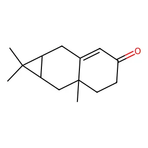 1,4,4-Trimethyltricyclo(5.4.0.0(3,5))undec-7-en-9-one structure